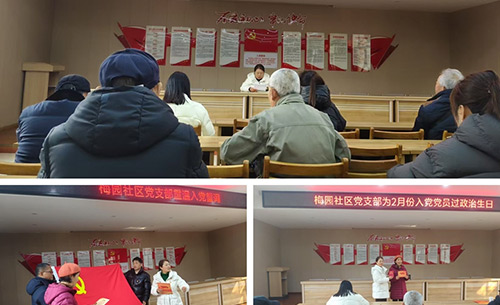 梅园社区党委开展主题党日活动